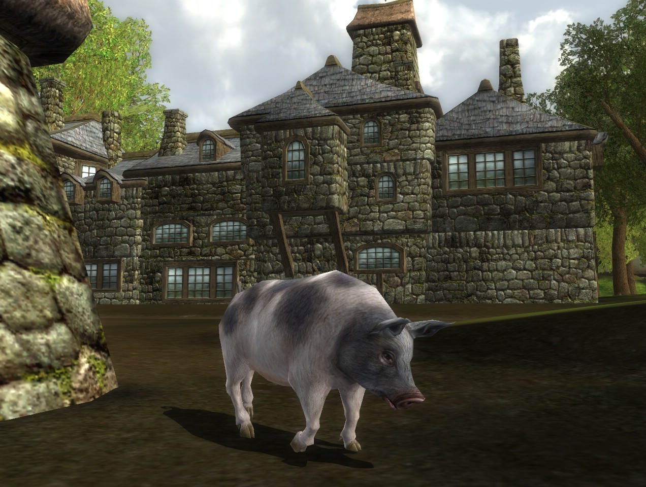 Awwww cute pig huh?