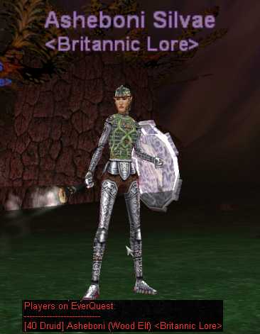 Plate wearing Druids