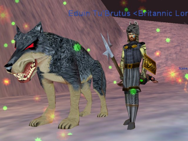 A man and his dog