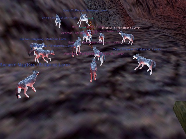 Wolfies