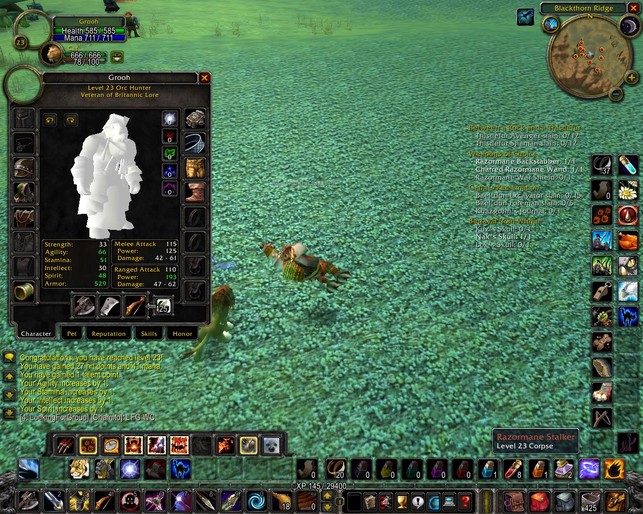Honey, did you use too much bleach on me armors?