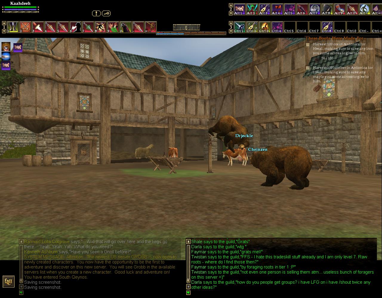 Who let the bears out 3