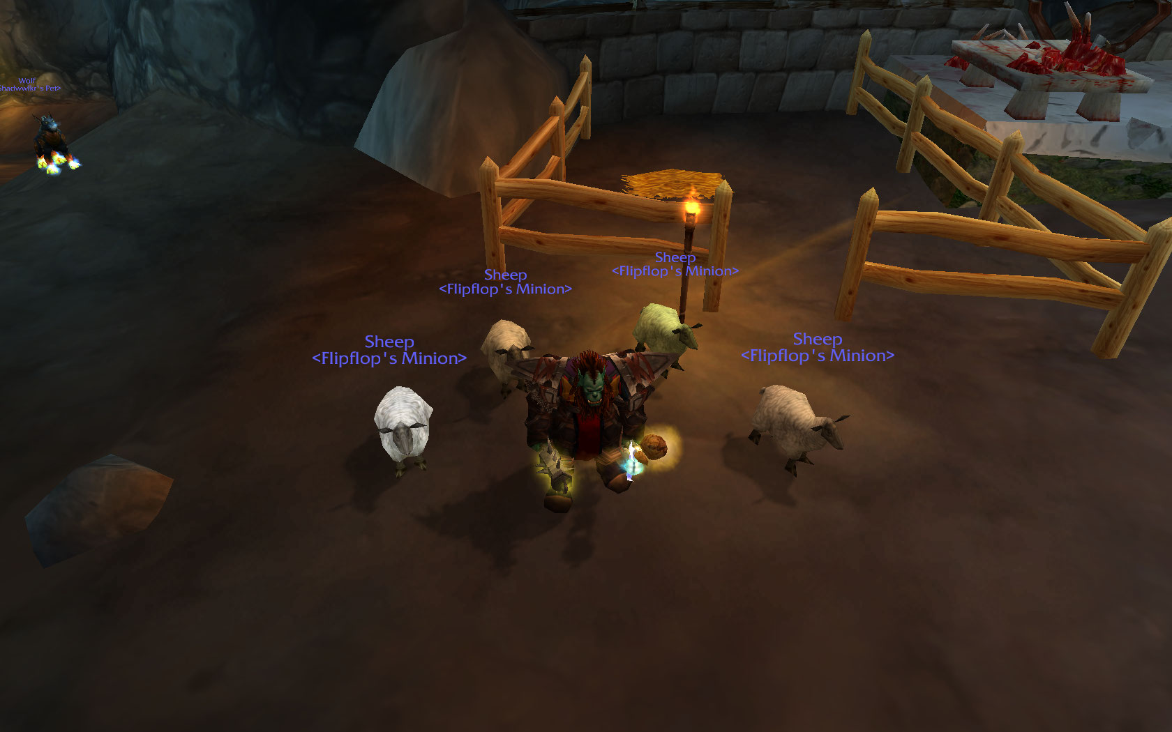 Flips flock of Flossies!