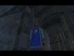 Guild Cloak
